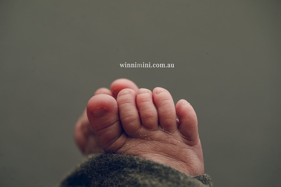 newborn baby family photographer tanha photography photograph photos photo babies gold coast brisbane the best family picture pictures tanha basile winni mini