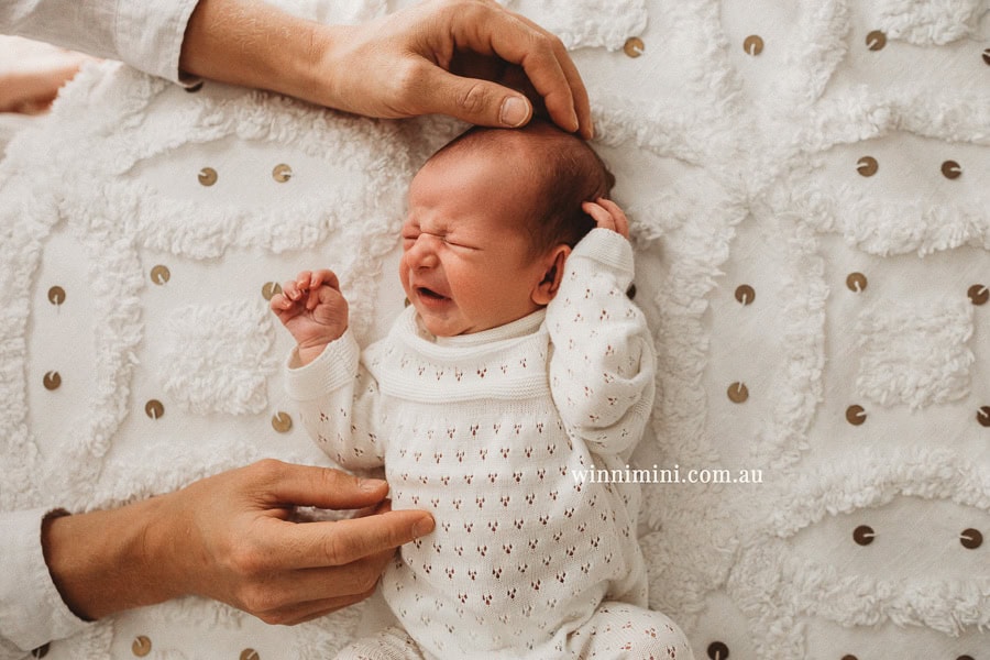 newborn baby family photographer tanha photography photograph photos photo babies gold coast brisbane the best family picture pictures tanha basile winni mini
