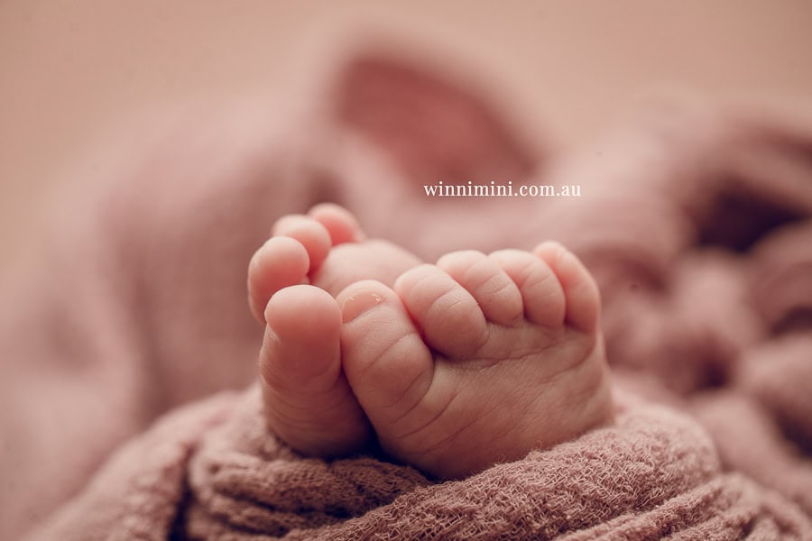 newborn baby family photographer tanha photography photograph photos photo babies gold coast brisbane the best family picture pictures tanha basile winni mini