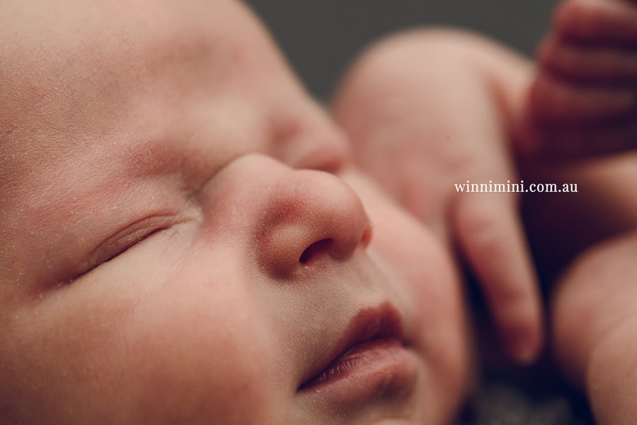 newborn baby family photographer tanha photography photograph photos photo babies gold coast brisbane the best family picture pictures tanha basile winni mini