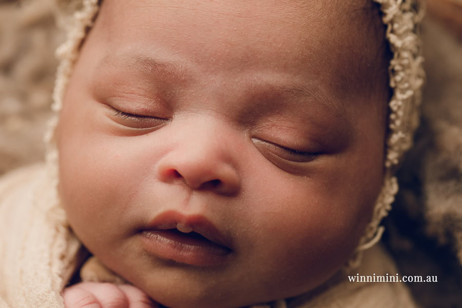 newborn baby family photographer tanha photography photograph photos photo babies gold coast brisbane the best family picture pictures tanha basile winni mini