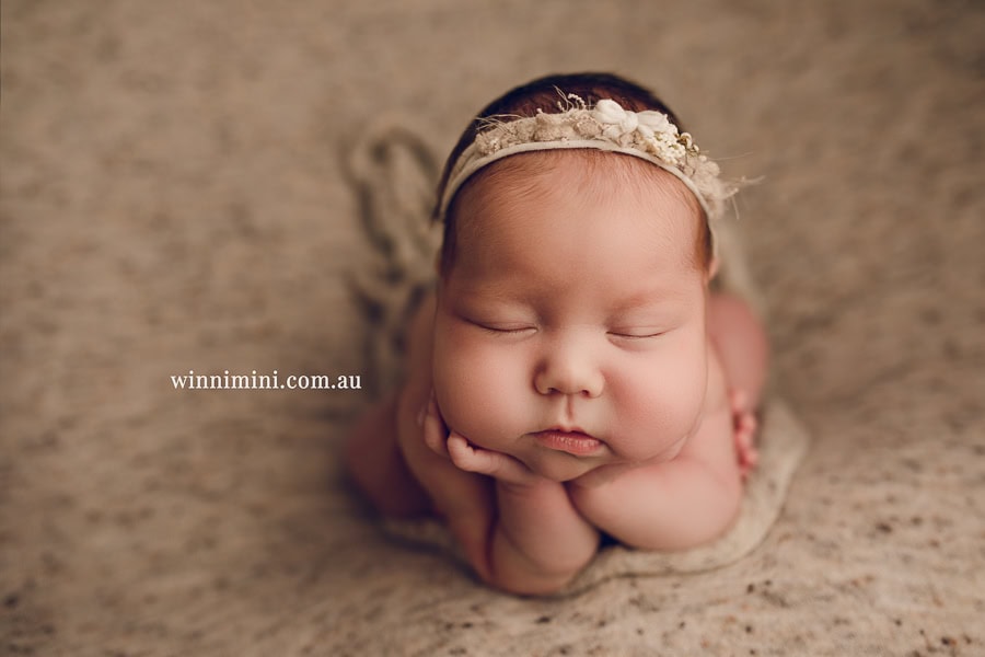 newborn baby family photographer tanha photography photograph photos photo babies gold coast brisbane the best family picture pictures tanha basile winni mini