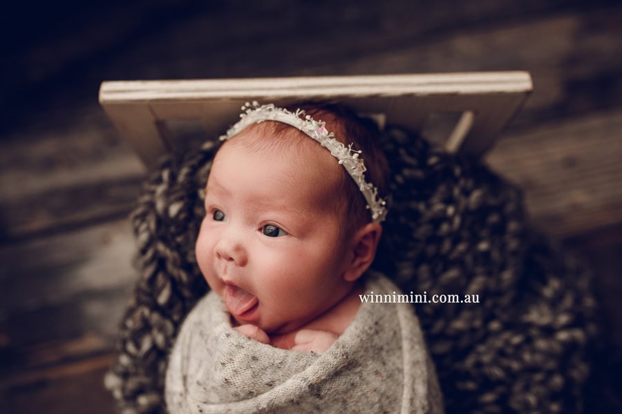 newborn baby family photographer tanha photography photograph photos photo babies gold coast brisbane the best family picture pictures tanha basile winni mini