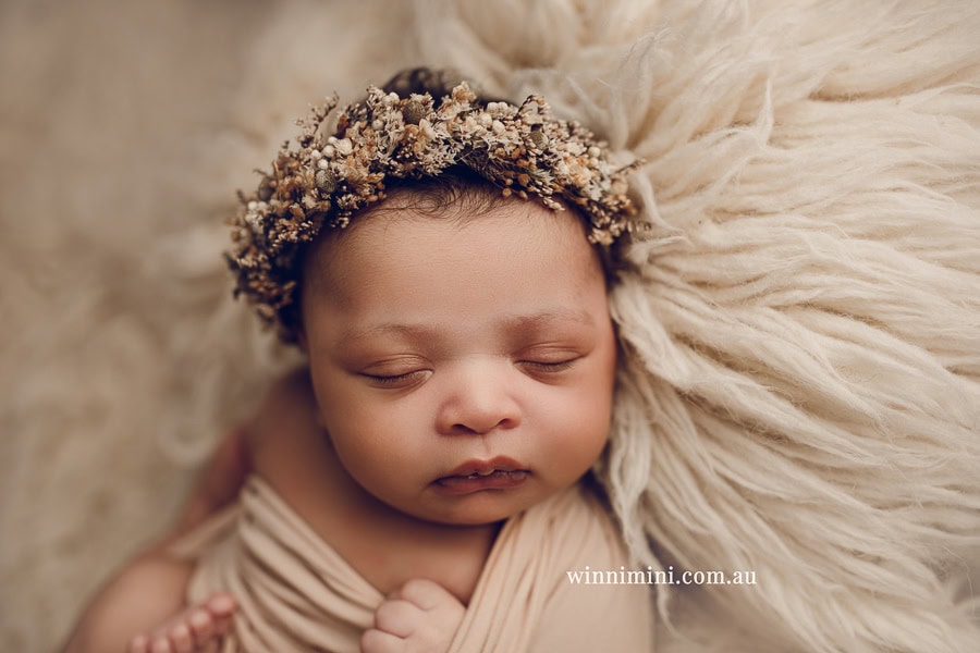 newborn baby family photographer tanha photography photograph photos photo babies gold coast brisbane the best family picture pictures tanha basile winni mini