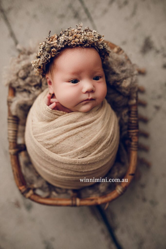 newborn baby family photographer tanha photography photograph photos photo babies gold coast brisbane the best family picture pictures tanha basile winni mini