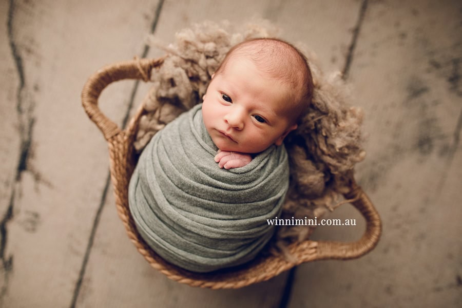 newborn baby family photographer tanha photography photograph photos photo babies gold coast brisbane the best family picture pictures tanha basile winni mini