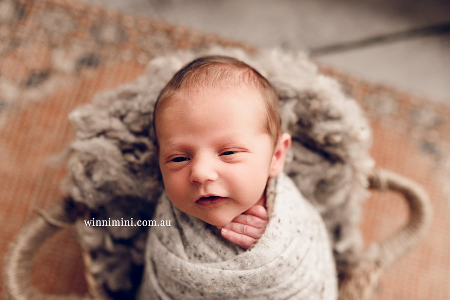 newborn baby family photographer tanha photography photograph photos photo babies gold coast brisbane the best family picture pictures tanha basile winni mini