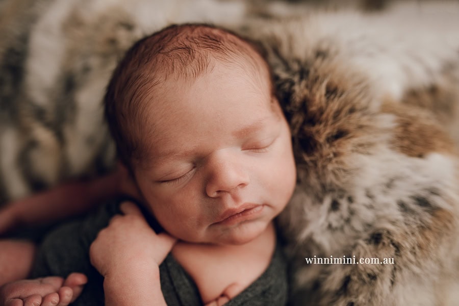 newborn baby family photographer tanha photography photograph photos photo babies gold coast brisbane the best family picture pictures tanha basile winni mini