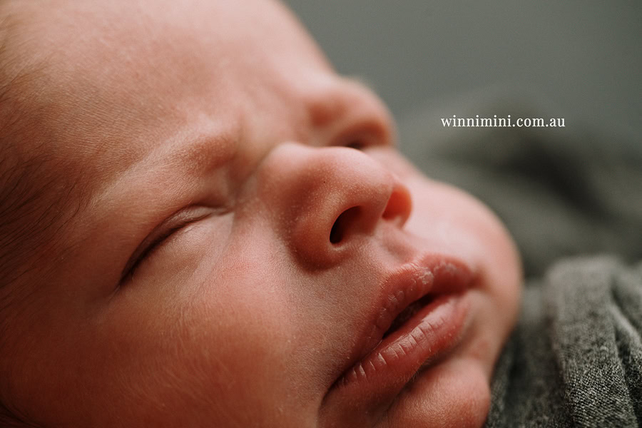 newborn baby family photographer tanha photography photograph photos photo babies gold coast brisbane the best family picture pictures tanha basile winni mini