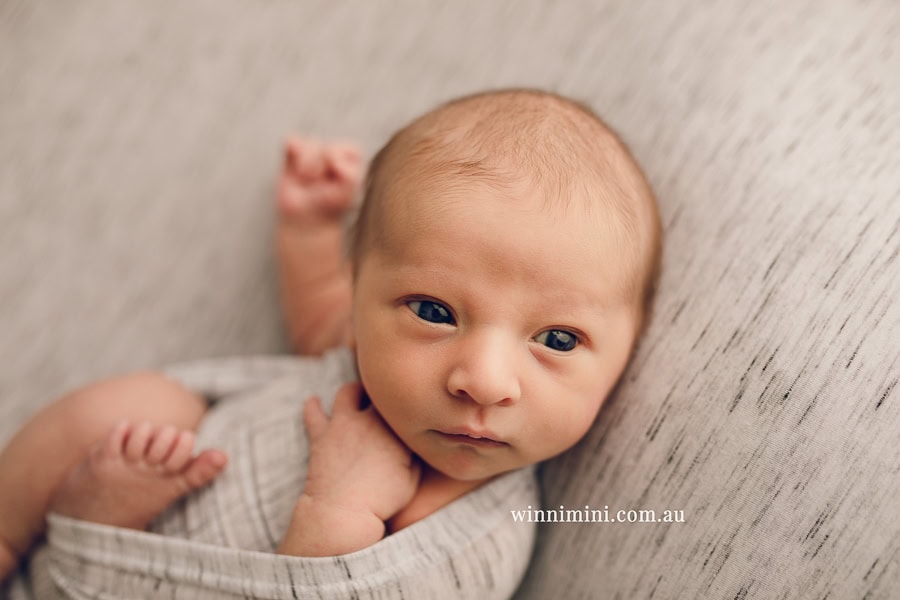 newborn baby family photographer tanha photography photograph photos photo babies gold coast brisbane the best family picture pictures tanha basile winni mini