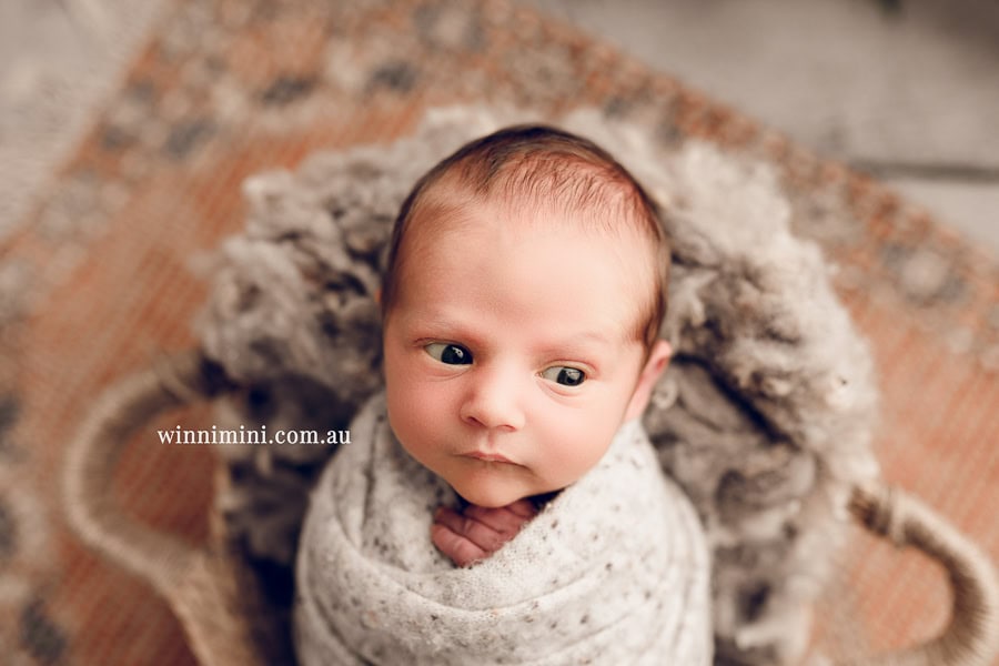 newborn baby family photographer tanha photography photograph photos photo babies gold coast brisbane the best family picture pictures tanha basile winni mini