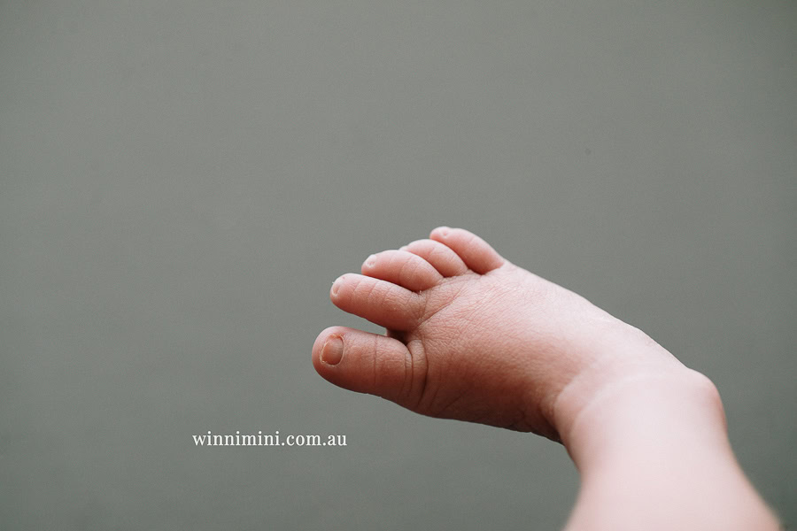 newborn baby family photographer tanha photography photograph photos photo babies gold coast brisbane the best family picture pictures tanha basile winni mini