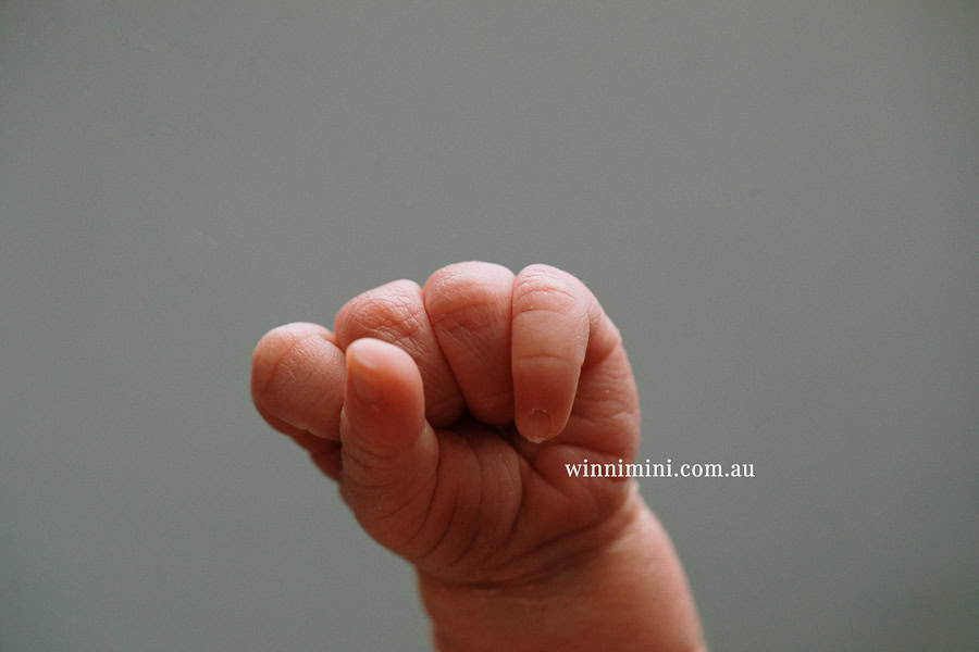newborn baby family photographer tanha photography photograph photos photo babies gold coast brisbane the best family picture pictures tanha basile winni mini