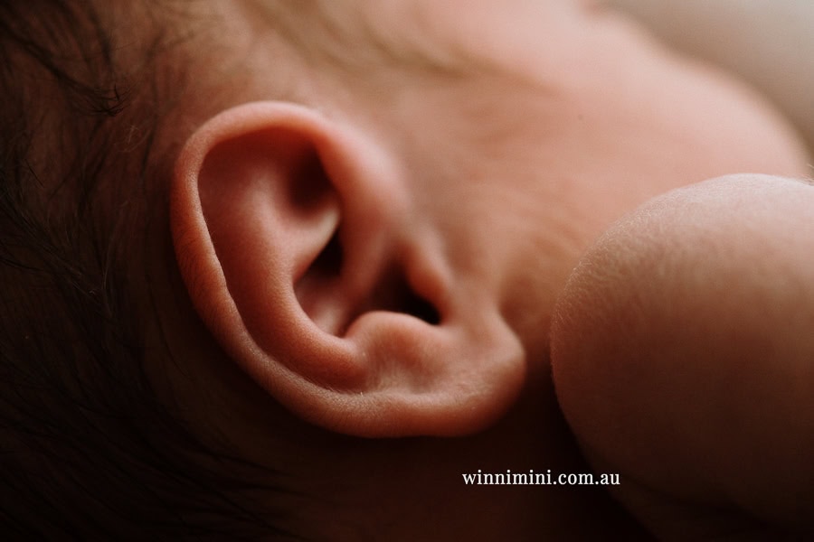 newborn baby family photographer tanha photography photograph photos photo babies gold coast brisbane the best family picture pictures tanha basile winni mini