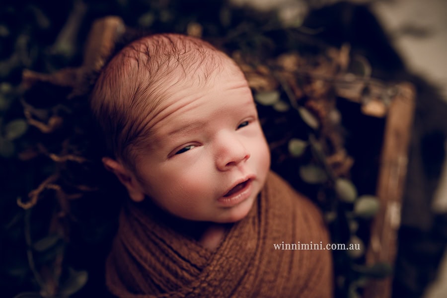 newborn baby family photographer tanha photography photograph photos photo babies gold coast brisbane the best family picture pictures tanha basile winni mini