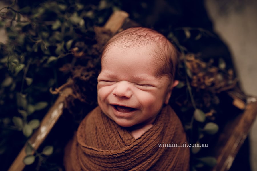 newborn baby family photographer tanha photography photograph photos photo babies gold coast brisbane the best family picture pictures tanha basile winni mini