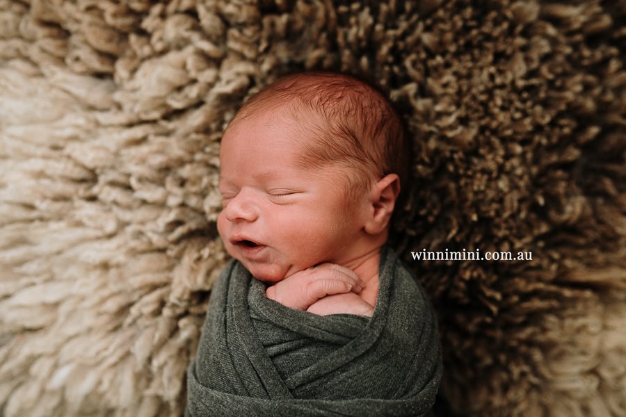 newborn baby family photographer tanha photography photograph photos photo babies gold coast brisbane the best family picture pictures tanha basile winni mini