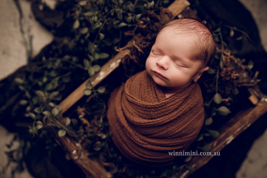newborn baby family photographer tanha photography photograph photos photo babies gold coast brisbane the best family picture pictures tanha basile winni mini
