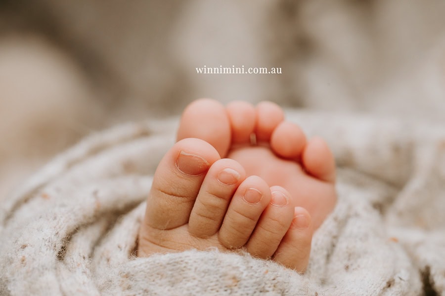 newborn baby family photographer tanha photography photograph photos photo babies gold coast brisbane the best family picture pictures tanha basile winni mini