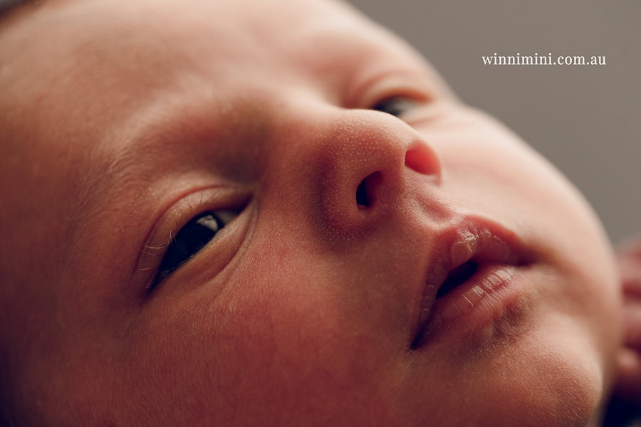 newborn baby family photographer tanha photography photograph photos photo babies gold coast brisbane the best family picture pictures tanha basile winni mini izaac Emily Skye fit