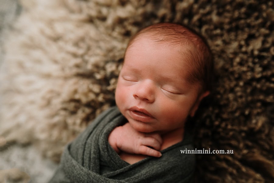 newborn baby family photographer tanha photography photograph photos photo babies gold coast brisbane the best family picture pictures tanha basile winni mini