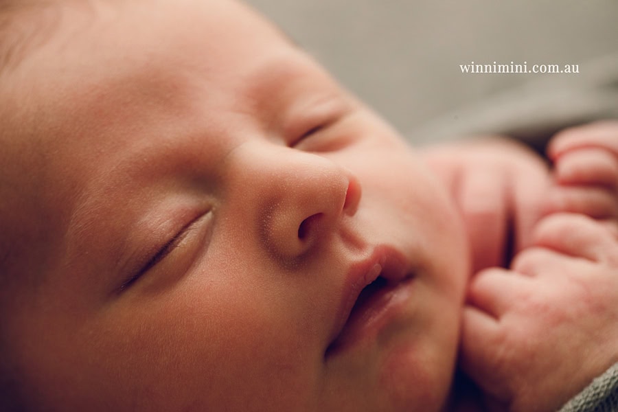 newborn baby family photographer tanha photography photograph photos photo babies gold coast brisbane the best family picture pictures tanha basile winni mini