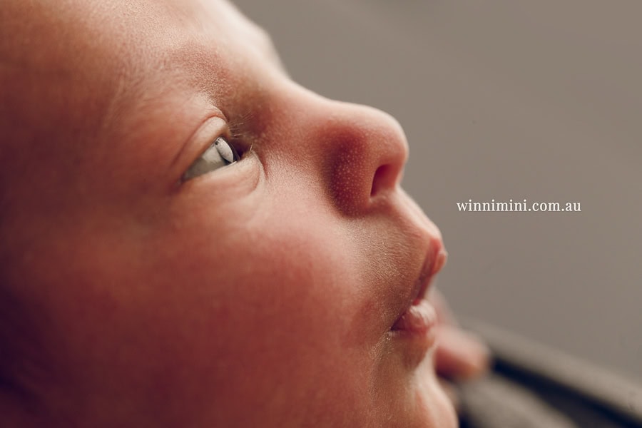 newborn baby family photographer tanha photography photograph photos photo babies gold coast brisbane the best family picture pictures tanha basile winni mini izaac Emily Skye fit