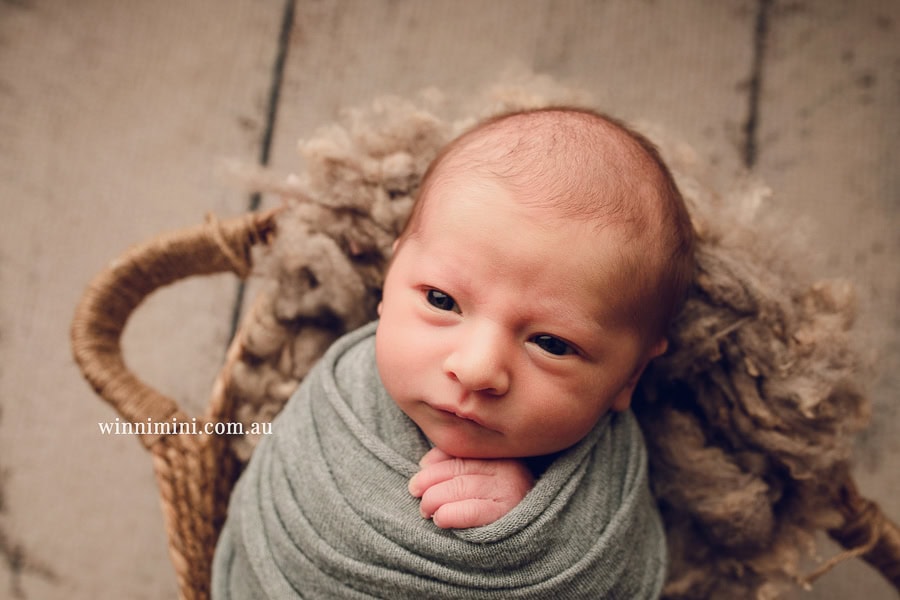 newborn baby family photographer tanha photography photograph photos photo babies gold coast brisbane the best family picture pictures tanha basile winni mini