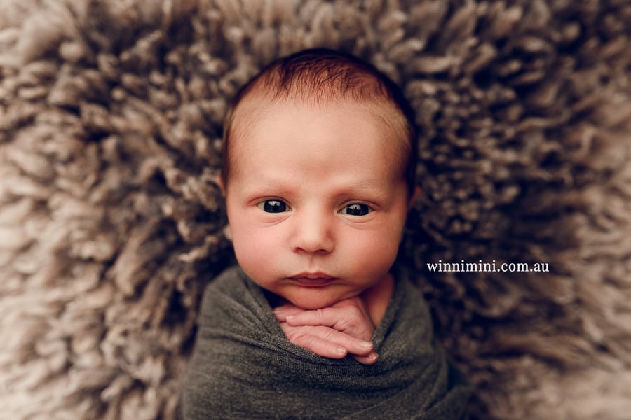 newborn baby family photographer tanha photography photograph photos photo babies gold coast brisbane the best family picture pictures tanha basile winni mini