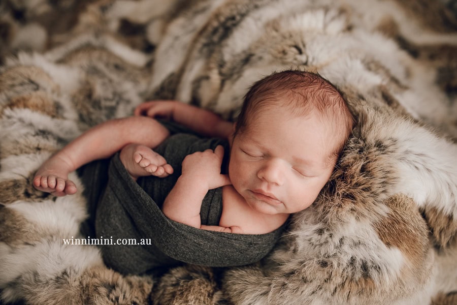 newborn baby family photographer tanha photography photograph photos photo babies gold coast brisbane the best family picture pictures tanha basile winni mini
