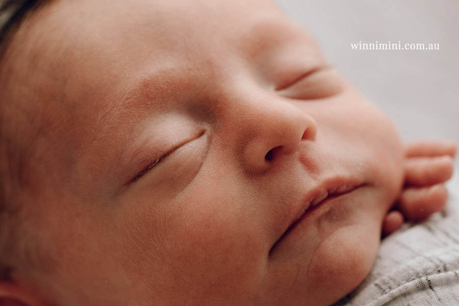newborn baby family photographer tanha photography photograph photos photo babies gold coast brisbane the best family picture pictures tanha basile winni mini