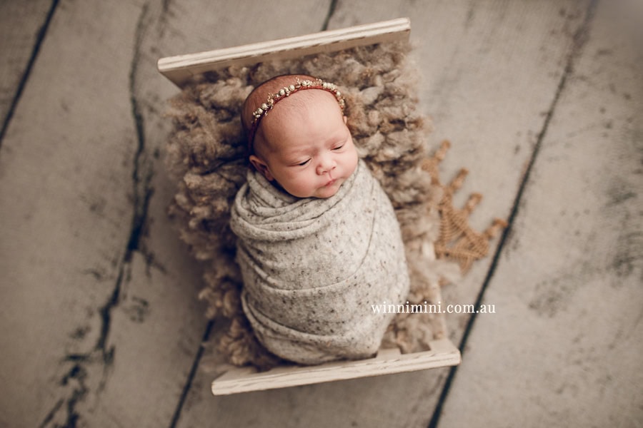 newborn baby family photographer tanha photography photograph photos photo babies gold coast brisbane the best family picture pictures tanha basile winni mini