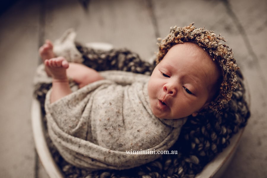 newborn baby family photographer tanha photography photograph photos photo babies gold coast brisbane the best family picture pictures tanha basile winni mini