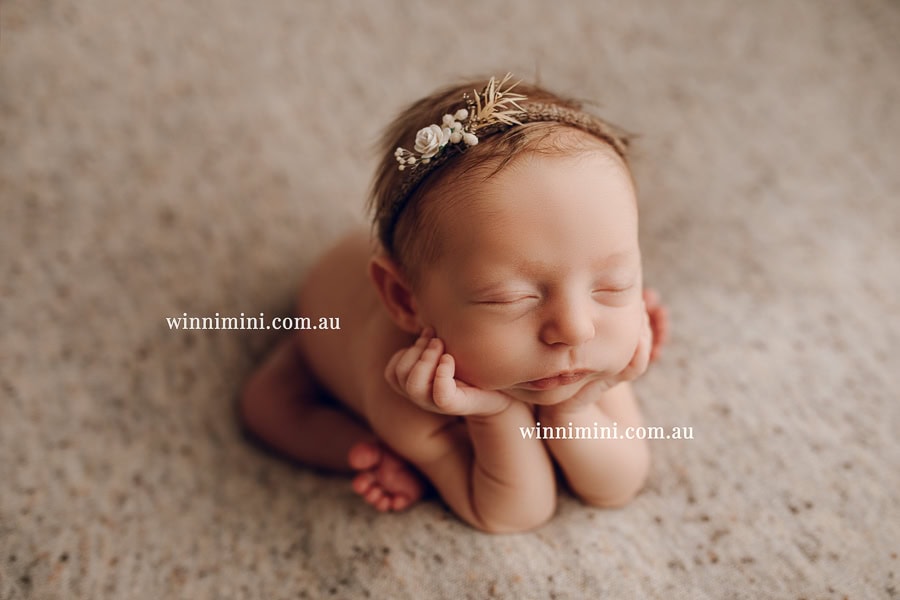 newborn baby family photographer tanha photography photograph photos photo babies gold coast brisbane the best family picture pictures tanha basile winni mini