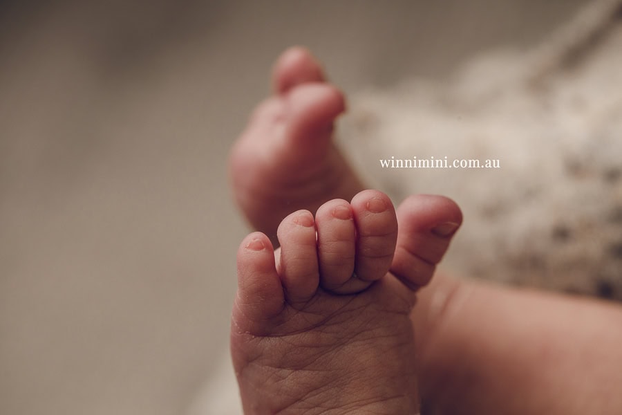 newborn baby family photographer tanha photography photograph photos photo babies gold coast brisbane the best family picture pictures tanha basile winni mini