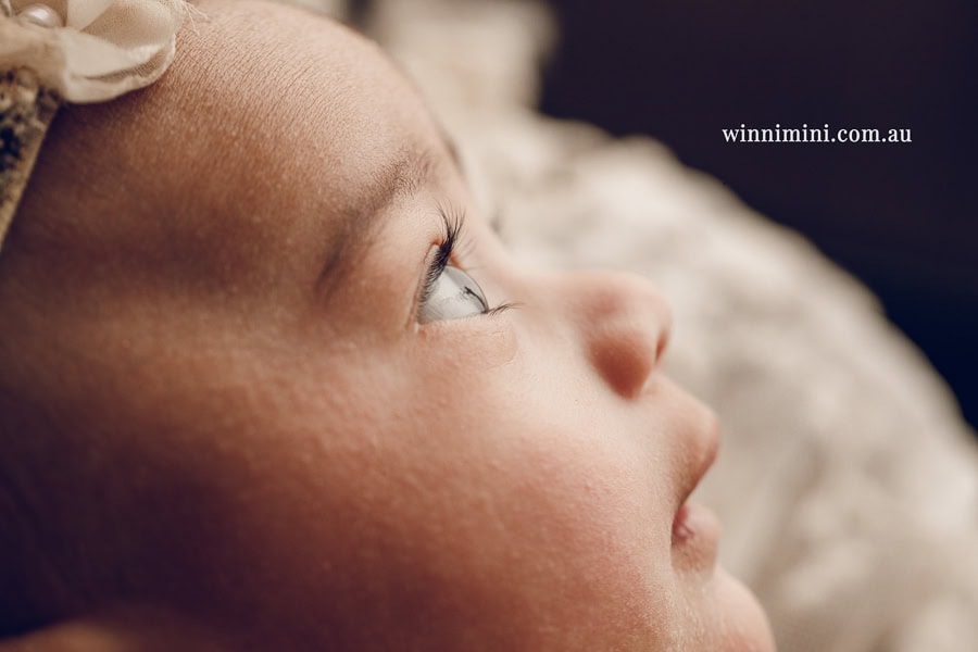 newborn baby family photographer tanha photography photograph photos photo babies gold coast brisbane the best family picture pictures tanha basile winni mini