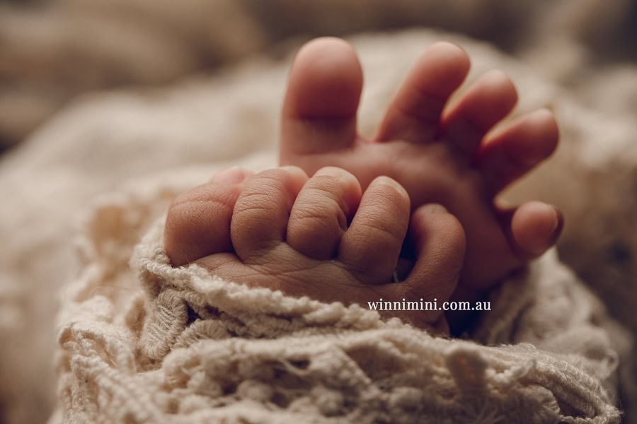 newborn baby family photographer tanha photography photograph photos photo babies gold coast brisbane the best family picture pictures tanha basile winni mini