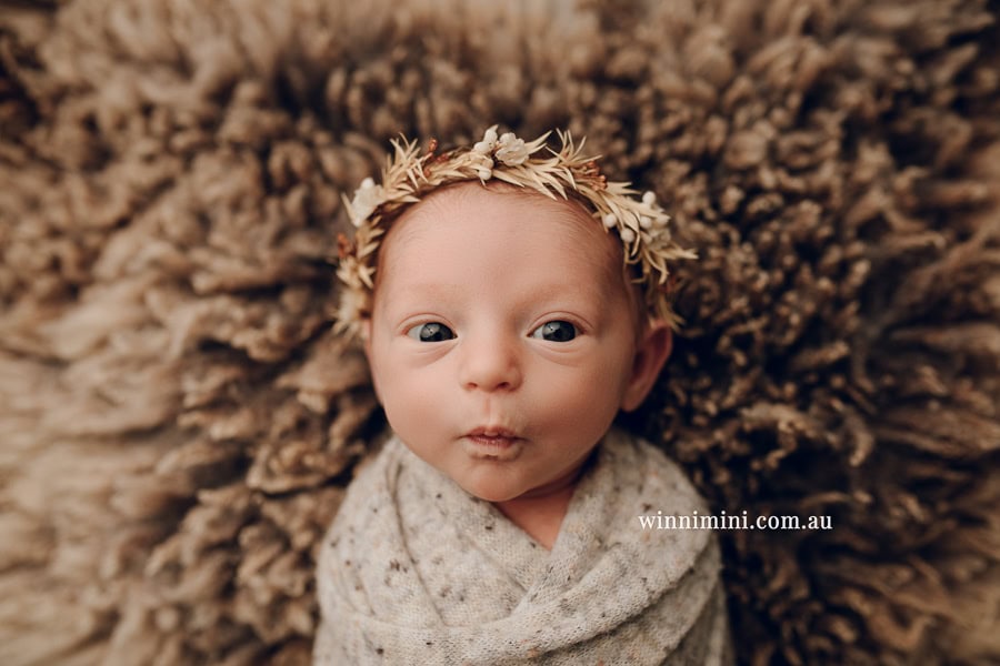 newborn baby family photographer tanha photography photograph photos photo babies gold coast brisbane the best family picture pictures tanha basile winni mini