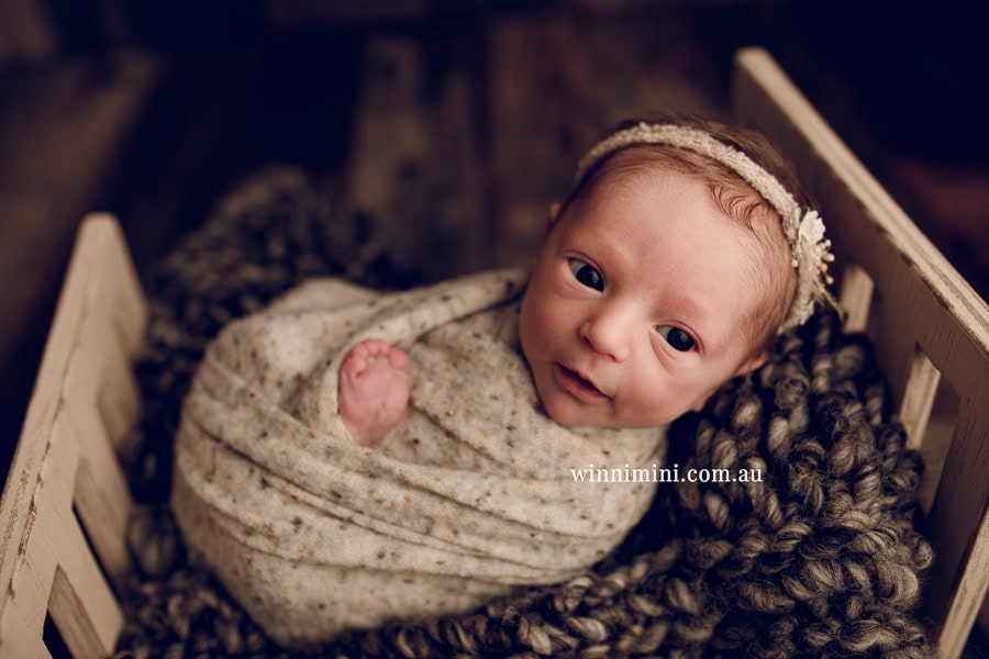 newborn baby family photographer tanha photography photograph photos photo babies gold coast brisbane the best family picture pictures tanha basile winni mini