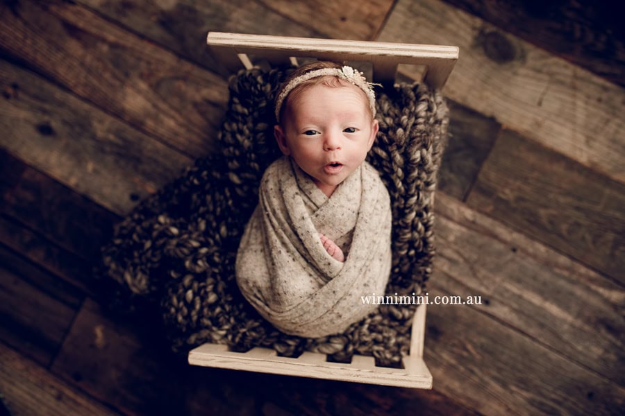 newborn baby family photographer tanha photography photograph photos photo babies gold coast brisbane the best family picture pictures tanha basile winni mini