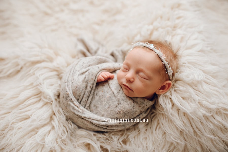 newborn baby family photographer tanha photography photograph photos photo babies gold coast brisbane the best family picture pictures tanha basile winni mini