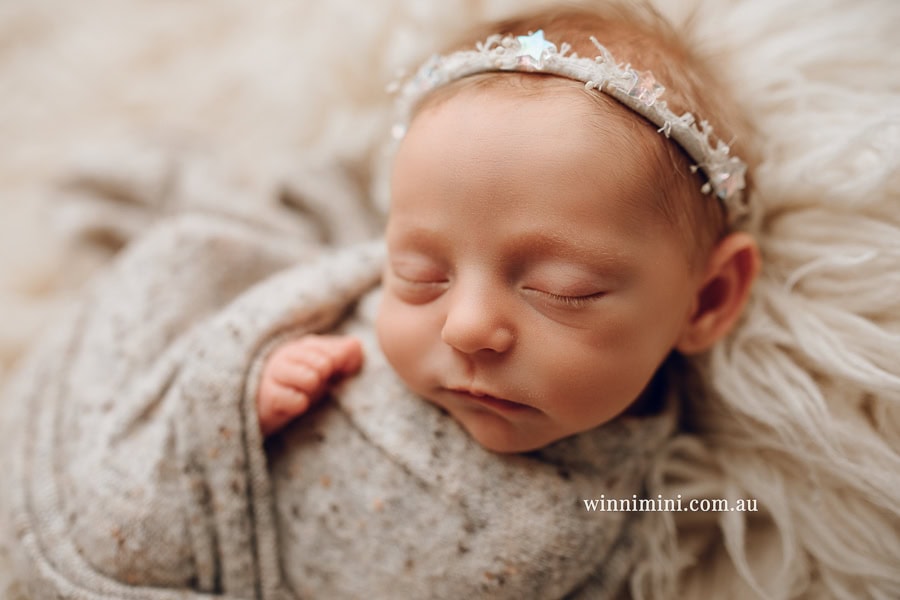 newborn baby family photographer tanha photography photograph photos photo babies gold coast brisbane the best family picture pictures tanha basile winni mini