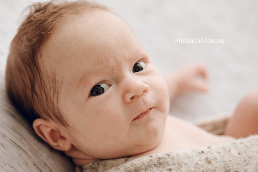 newborn baby family photographer tanha photography photograph photos photo babies gold coast brisbane the best family picture pictures tanha basile winni mini