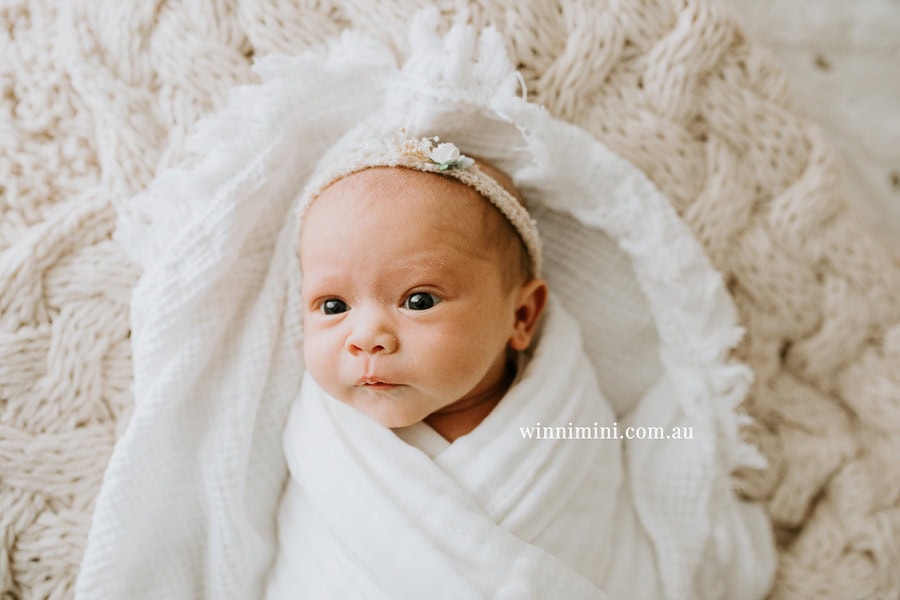newborn baby family photographer tanha photography photograph photos photo babies gold coast brisbane the best family picture pictures tanha basile winni mini