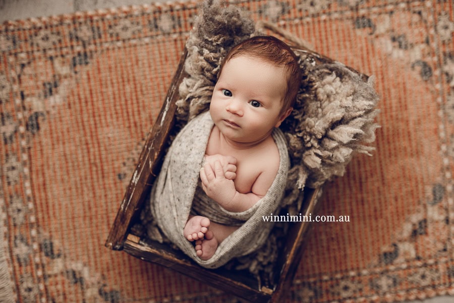 newborn baby family photographer tanha photography photograph photos photo babies gold coast brisbane the best family picture pictures tanha basile winni mini
