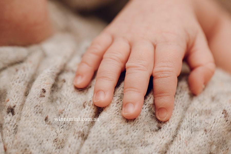 newborn baby family photographer tanha photography photograph photos photo babies gold coast brisbane the best family picture pictures tanha basile winni mini