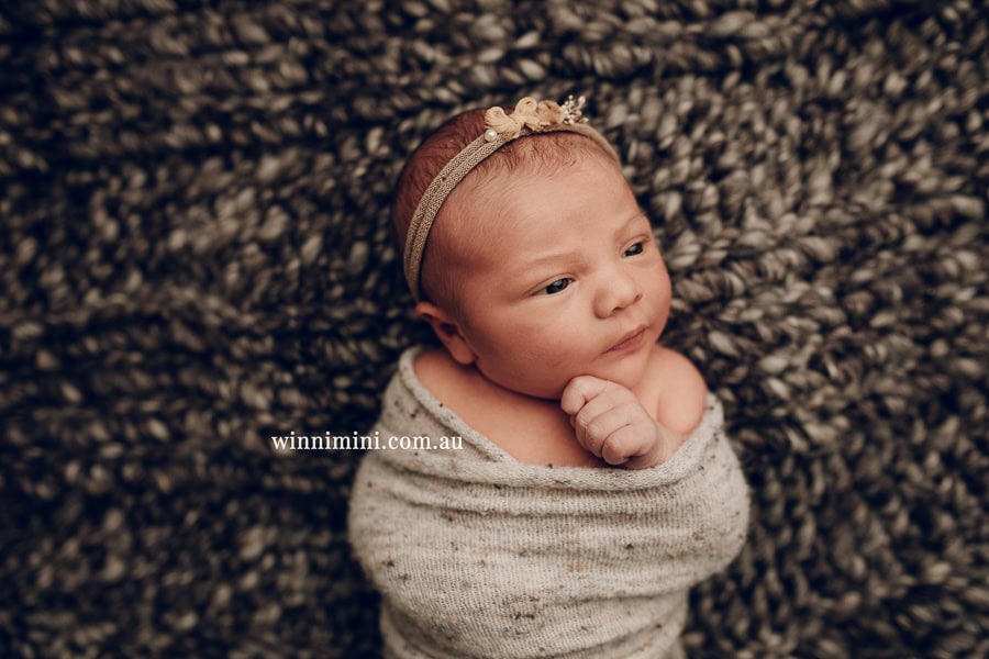 newborn baby family photographer tanha photography photograph photos photo babies gold coast brisbane the best family picture pictures tanha basile winni mini