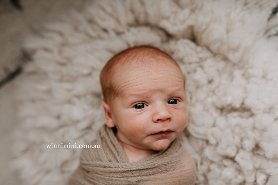 newborn baby family photographer tanha photography photograph photos photo babies gold coast brisbane the best family picture pictures tanha basile winni mini