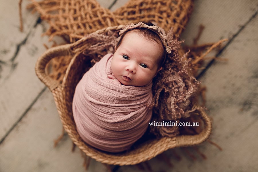 newborn baby family photographer tanha photography photograph photos photo babies gold coast brisbane the best family picture pictures tanha basile winni mini