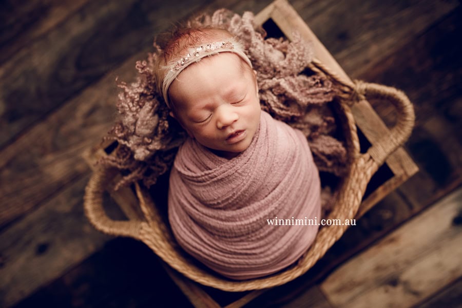 newborn baby family photographer tanha photography photograph photos photo babies gold coast brisbane the best family picture pictures tanha basile winni mini